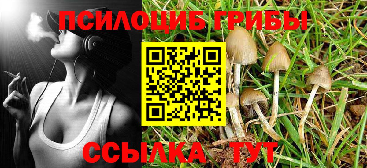 Псилоцибиновые грибы Magic Shrooms  Галлюциногенные грибы мухоморы  Вход с VPN  Альметьевск 