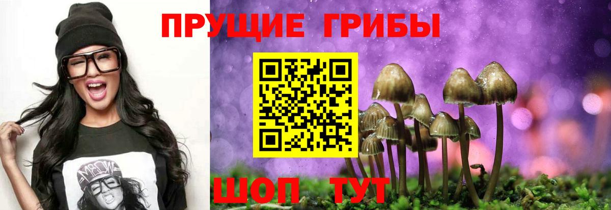 Галлюциногенные грибы GOLDEN TEACHER Альметьевск